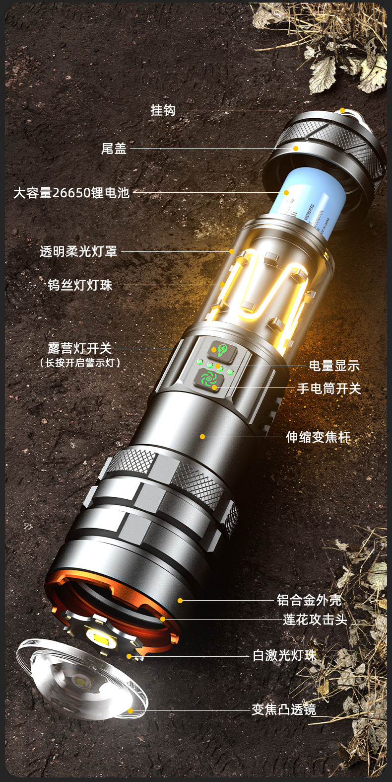 BLG580