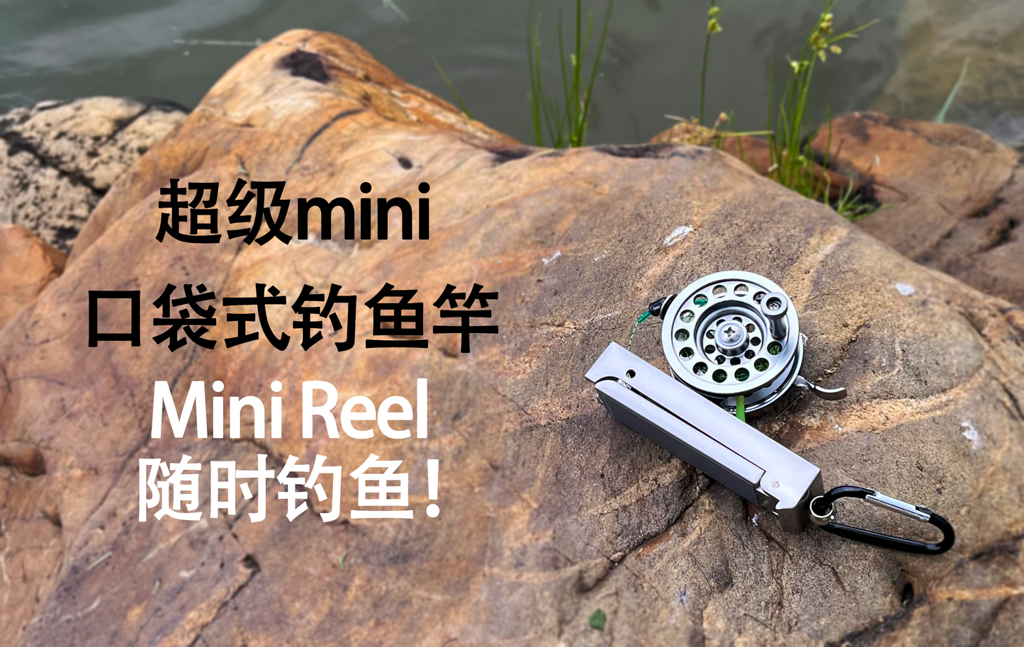 Mini reel